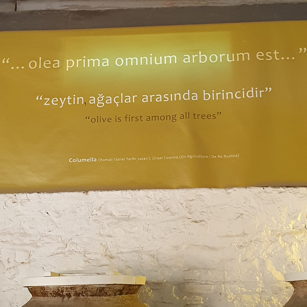 Zeytinyağı Müzesi (Küçükkuyu)