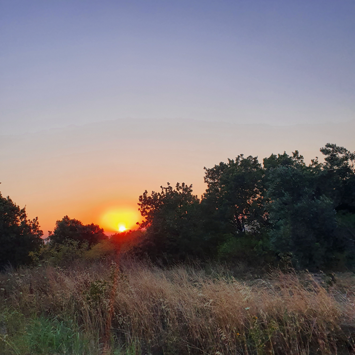 Alexandria Troas (Dalyan Köyü)