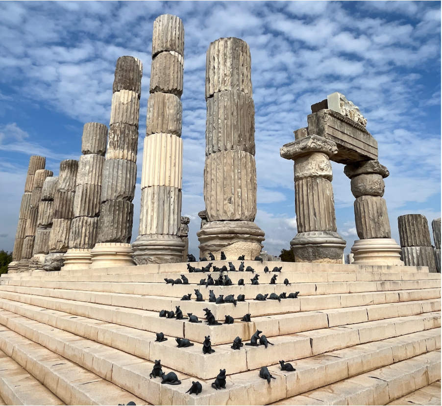 Apollon Smintheion (Gülpınar Köyü)